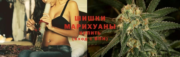 ешки Пересвет