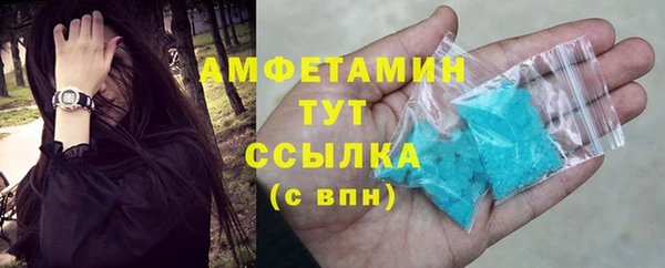 ешки Пересвет