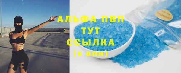 ешки Пересвет