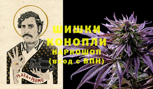 ешки Пересвет