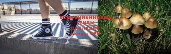 бутират Переславль-Залесский