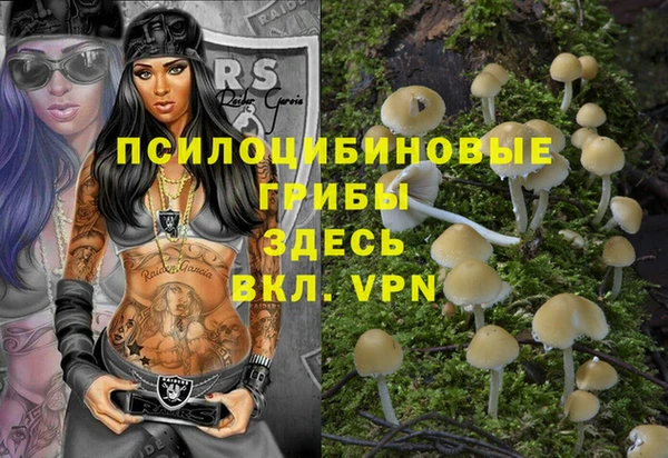 ешки Пересвет