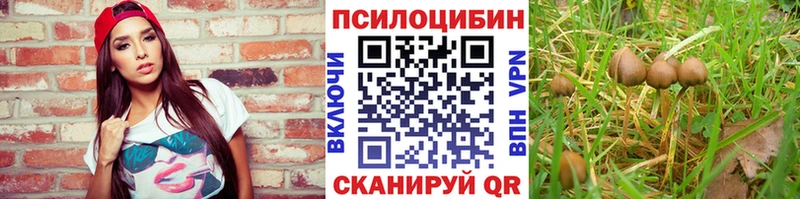 что такое   Ногинск  Галлюциногенные грибы мухоморы 