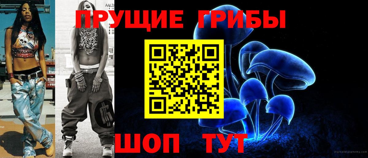 Галлюциногенные грибы Cubensis  Вход с VPN  купить наркотик  Ногинск 